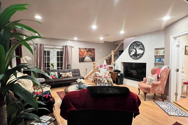 Smart TV, DVD player, books