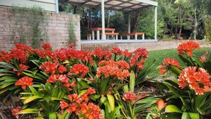 Un jardin avec des fleurs rouges devant un bâtiment doté d’un patio couvert.