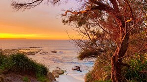 A coastal landscape with a tree in the foreground, a sandy beach, and the ocean.