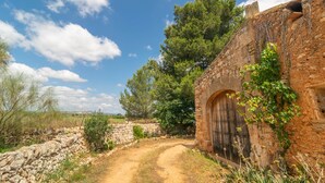 A rustic stone building with a wooden door, surrounded by greenery and a dirt path. - SON MAYOL 1 - Fantastic private apartment in agroturismo, with shared pool and free Wifi (Felanitx)