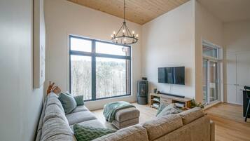 Smart TV, caminetto, libri, impianto stereo