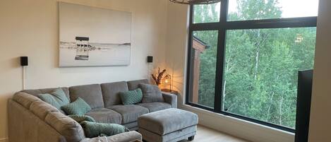 Smart TV, fireplace, books, stereo