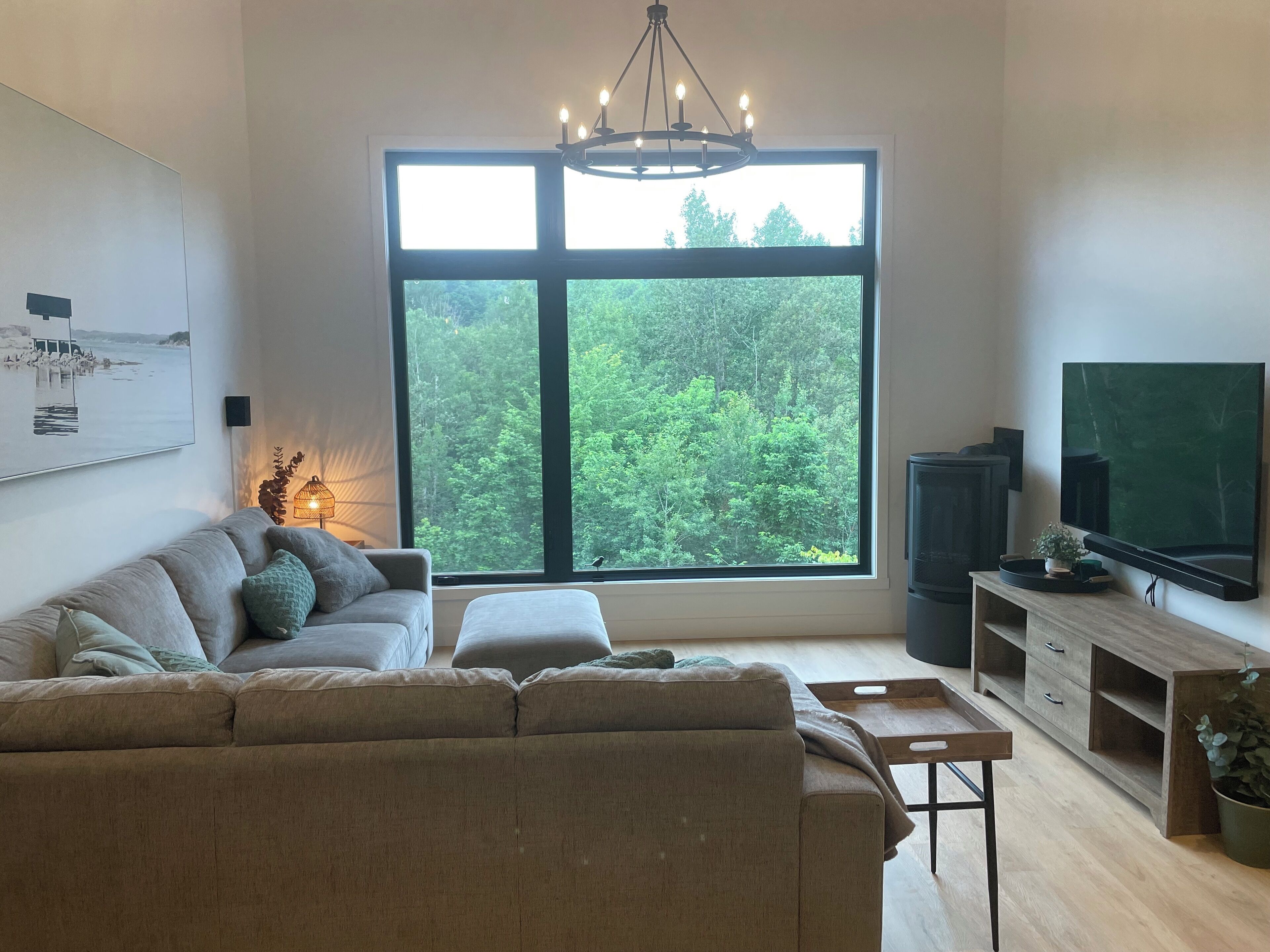 Smart TV, chimenea, libros