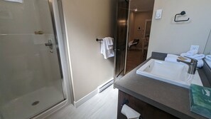 A modern bathroom with a glass shower door, a sink with a towel rack, and a mirror.