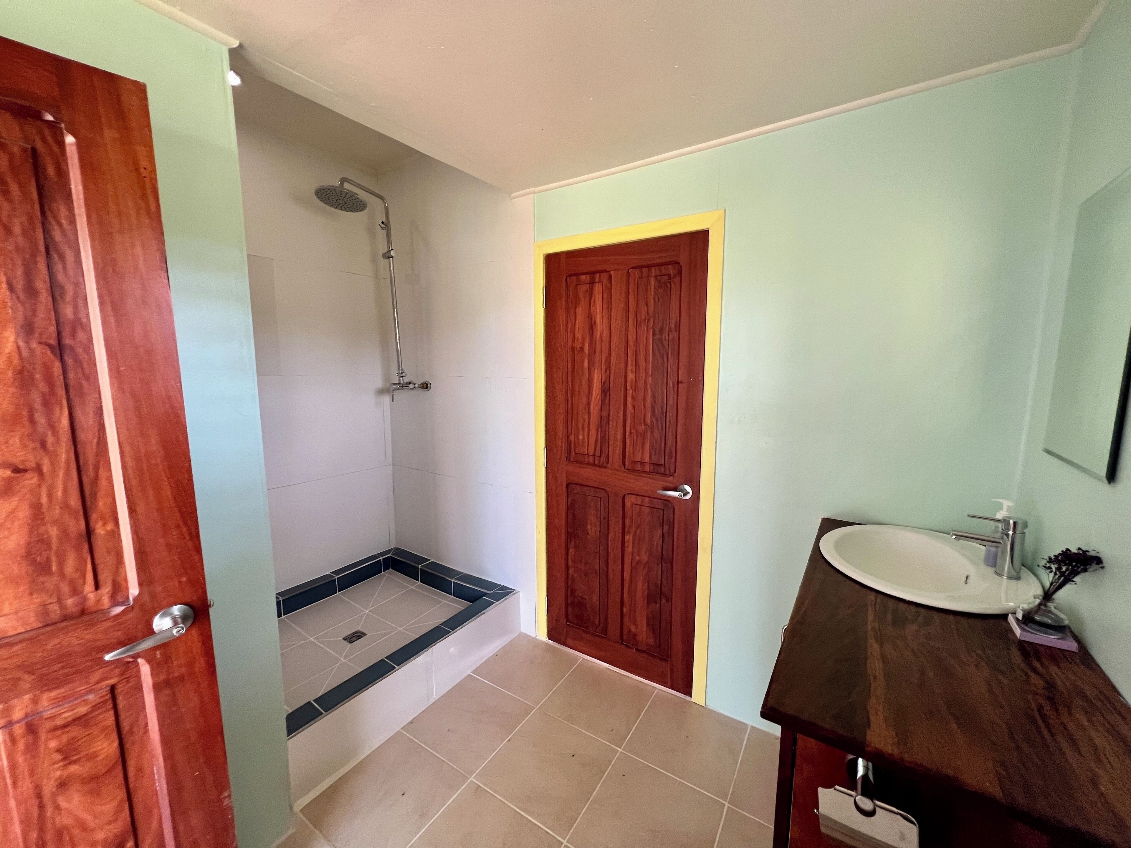 Une salle de bain avec une douche, une porte en bois, un lavabo et un miroir.