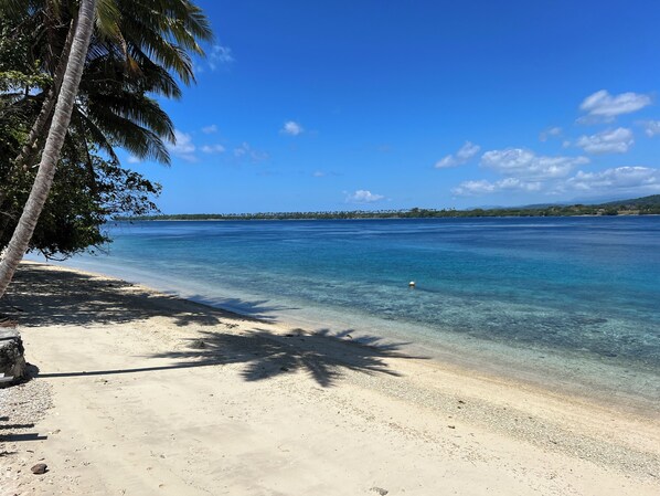 Una playa con agua turquesa cristalina, una orilla de arena y palmeras.