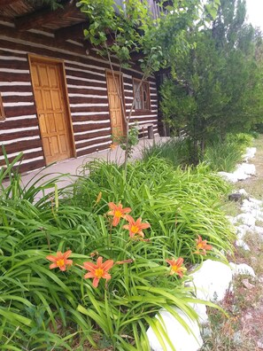 Une cabane en rondins avec une porte et une fenêtre en bois, entourée d’un jardin où poussent des fleurs oranges et des plantes à feuillage vert.