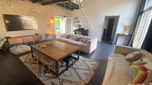 TV connectée, cheminée, lecteur de DVD, livres