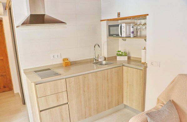 Cocina compacta con lavamanos, microondas y una pequeña estantería con cristalería y una planta.