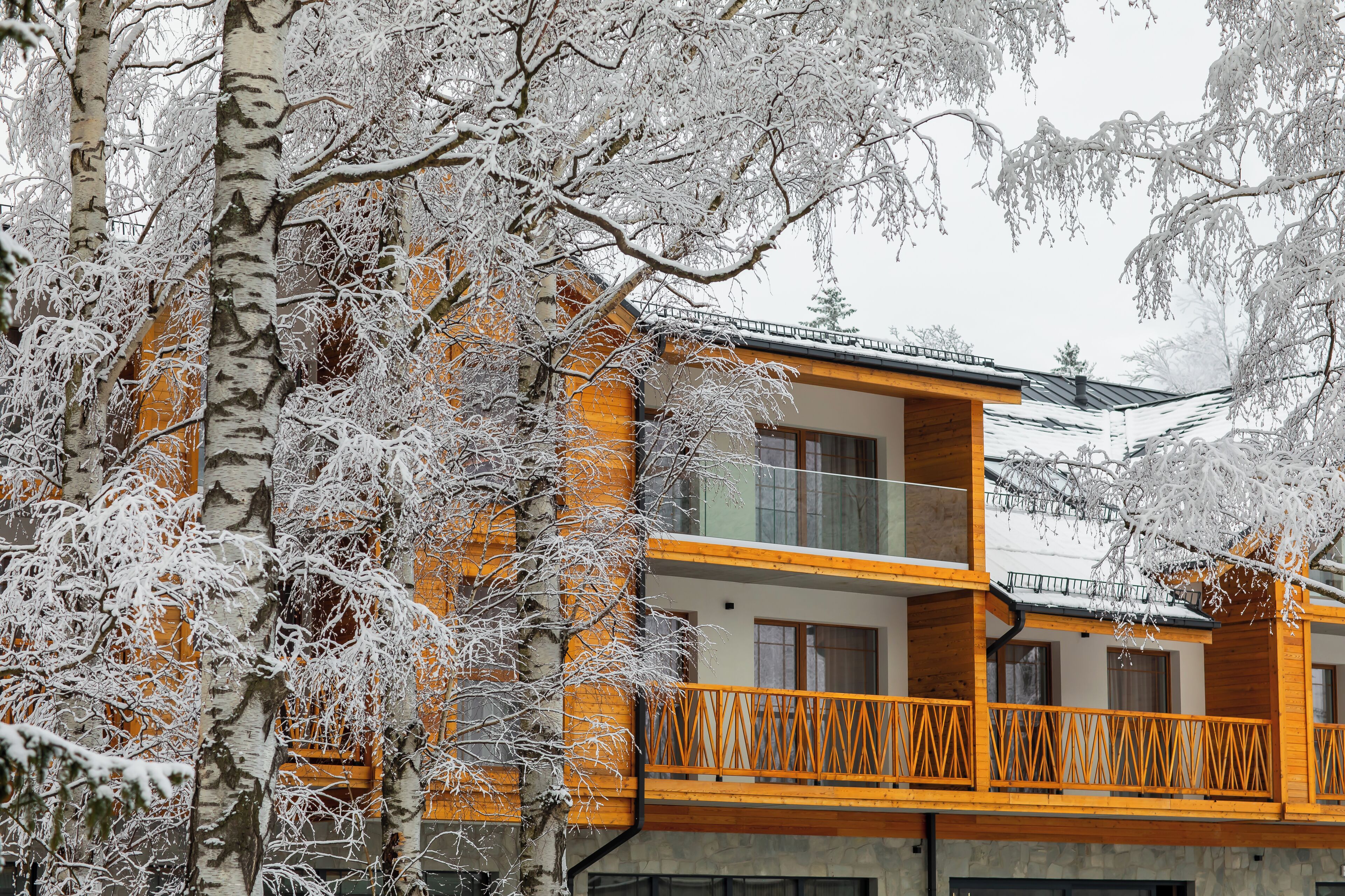 A multi-story building with balconies, surrounded by snow-covered trees.