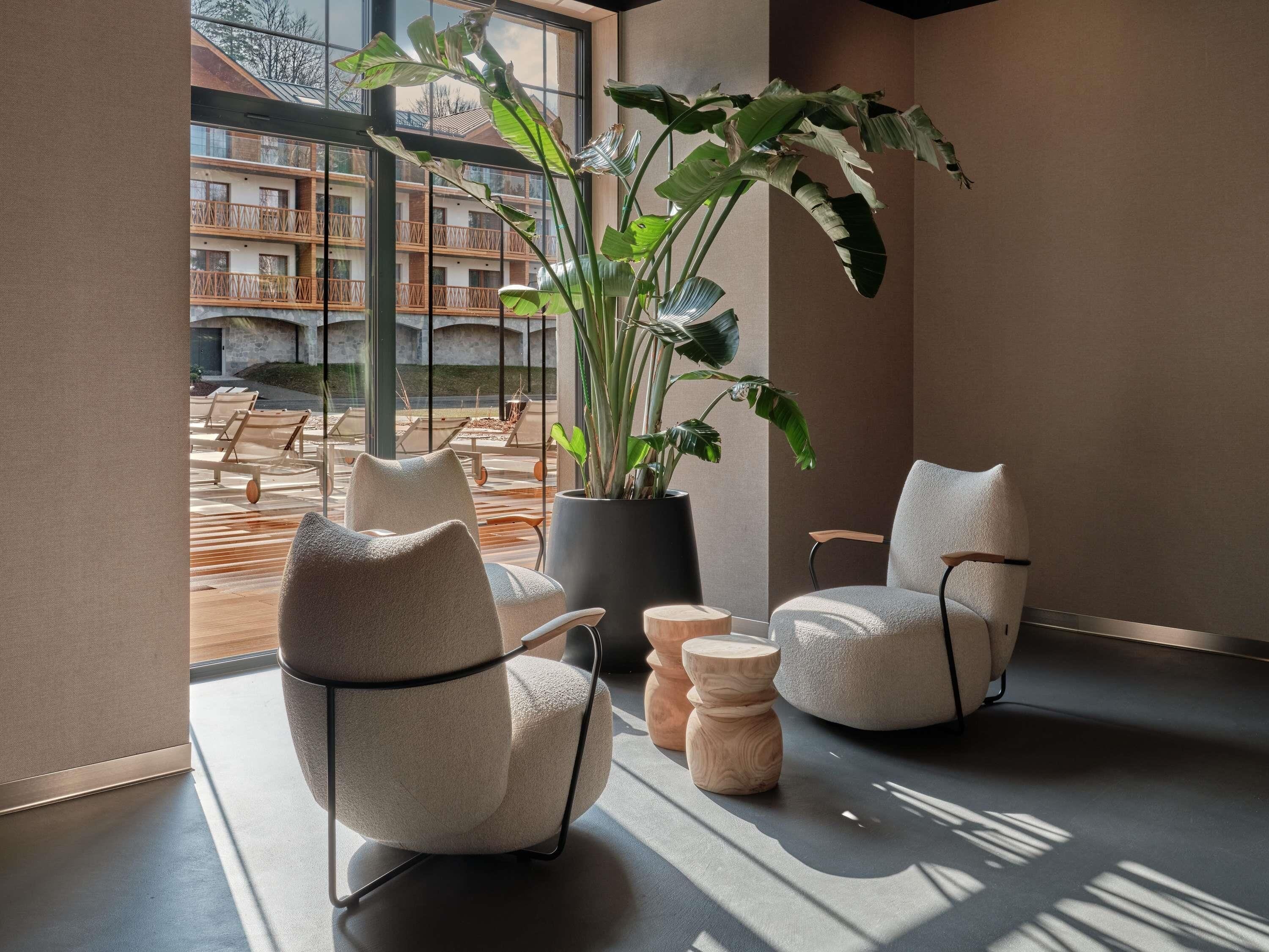 Un interior moderno con dos sillones cómodos, una planta grande en maceta y vistas a una zona de estar exterior a través de amplios ventanales.