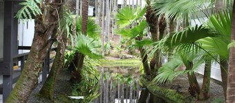 Tropical Garden Condo with Pool, Kitchen, and A/C!