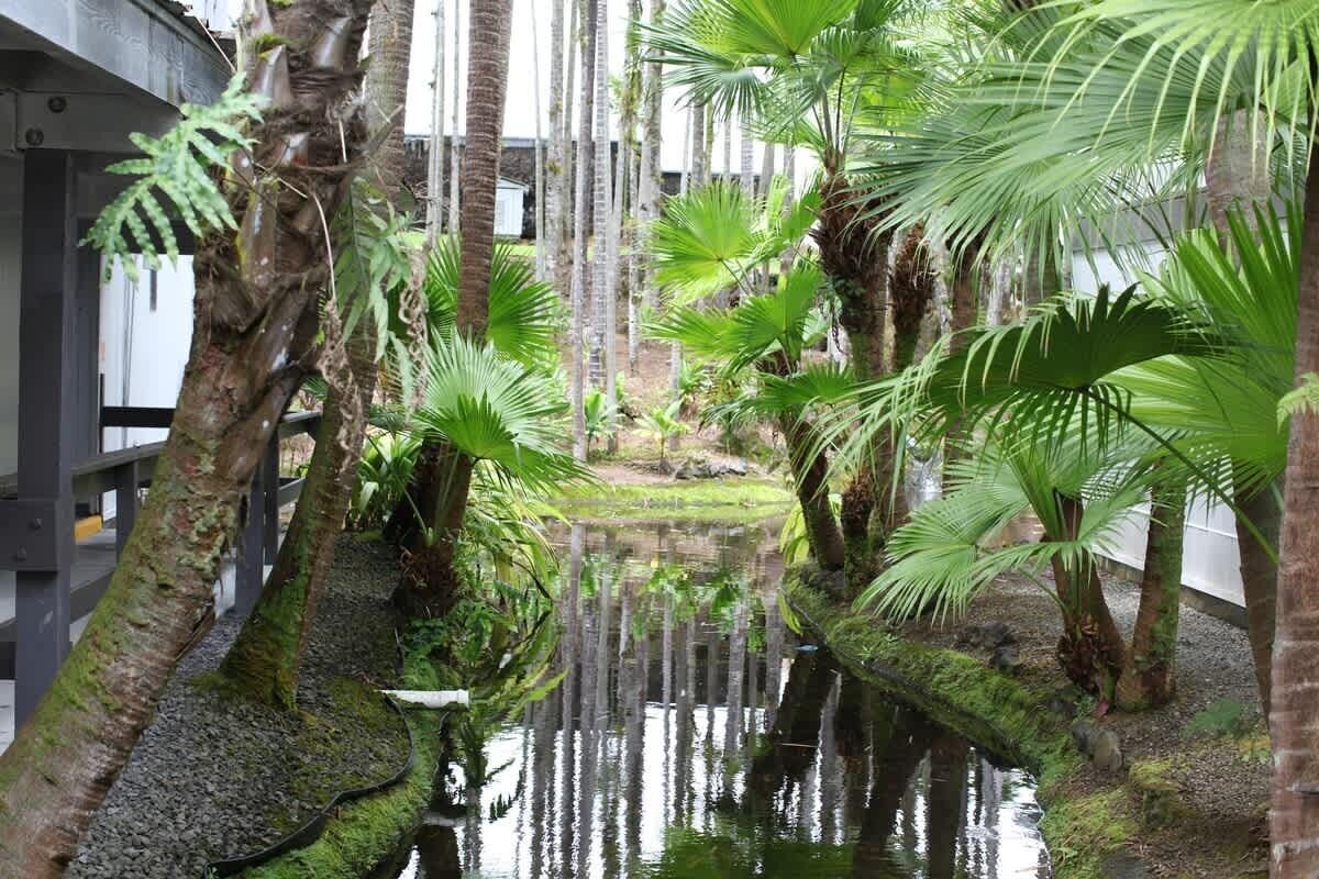 Parco della struttura