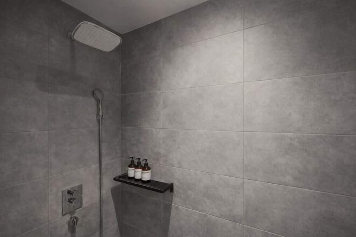 Shower, hair dryer, bathrobes, bidet