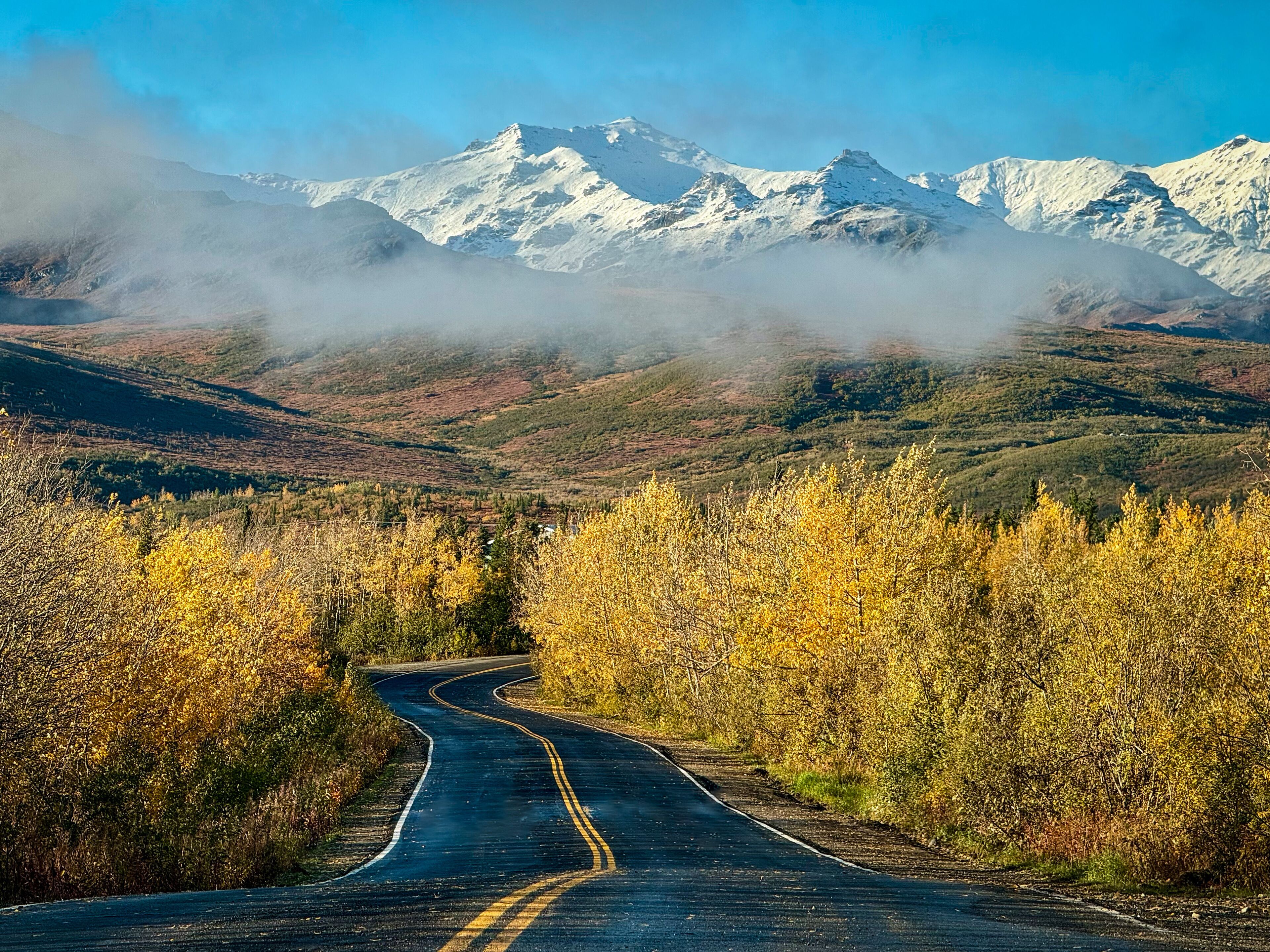 A winding road through a forest with autumn foliage and snow-capped mountains in the background.