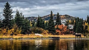 A house surrounded by trees and a body of water. - Denali Lakeview Inn (Healy)