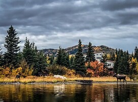 A house surrounded by trees and a body of water.