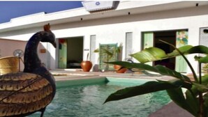 A bird near a pool with a building in the background. - Parijat Private Pool Villa 1, 2 and 3 BHK (Udaipur)
