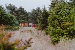 A cabin surrounded by dense forest, with a clear path leading to it. - Remodeled Copalis Beach cottage with fully fenced yard (Ocean Shores)