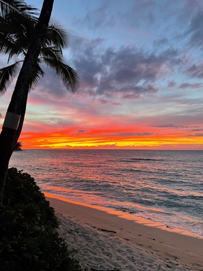 On the beach - Luxury Beachfront Retreat on Oahu's North Shore - 5 Bedrooms and Ocean Views (Waialua)