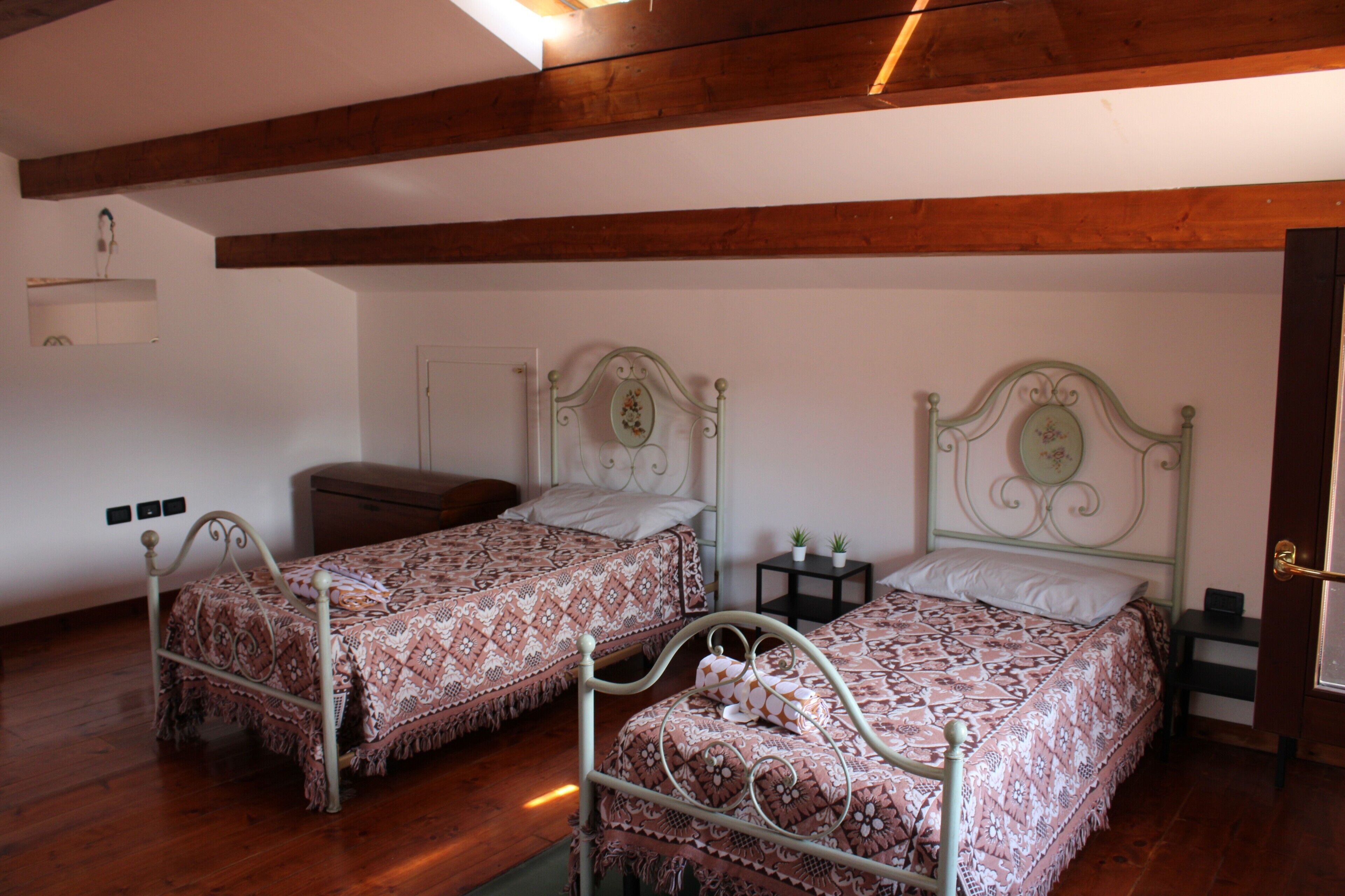 A room with two metal beds, a small bedside table with a plant, a wooden ceiling, and a door.