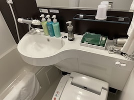 Bañera con ducha, artículos de tocador gratuitos, secador de pelo