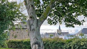 A tree-lined grassy area with stone buildings and a church tower in the background.