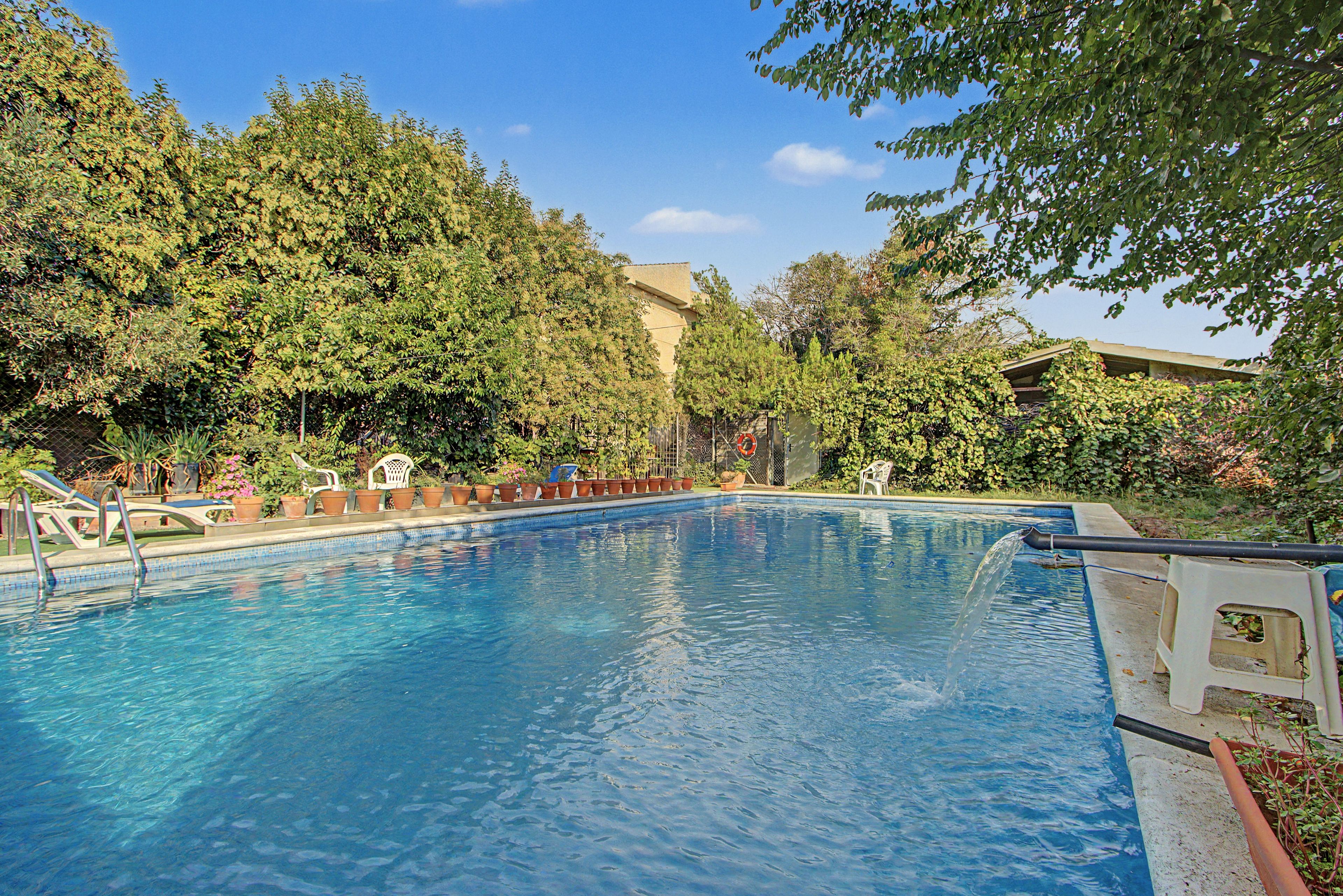 A swimming pool with clear blue water, surrounded by lush green trees and a building in the background.