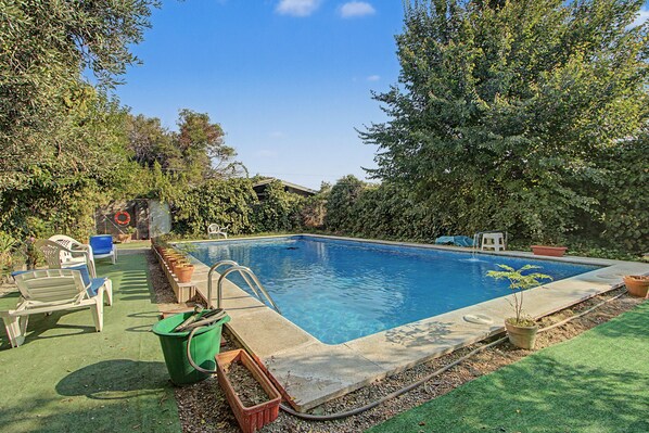 A rectangular swimming pool with a concrete edge, surrounded by a grassy area and potted plants.