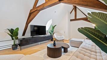 Fernseher, Arbeitsbereiche