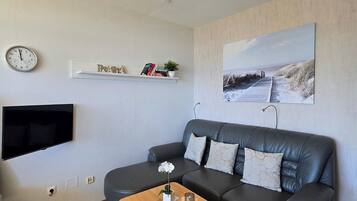 Fernseher, Stereoanlage