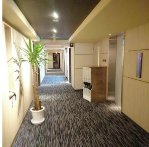 Un corridoio d'albergo con pavimento rivestito di moquette, una pianta in vaso, una reception e un ascensore.