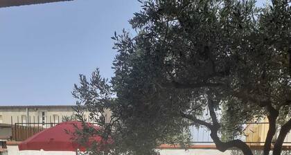 Finally studio apartment with climate 200 meters from the sea
