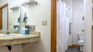 A bathroom with a sink, mirror, and toilet. - Lodge Room 4 with Jacuzzi Tub at Green Springs Inn (Ashland)