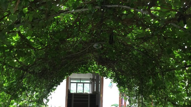 Terraço/pátio