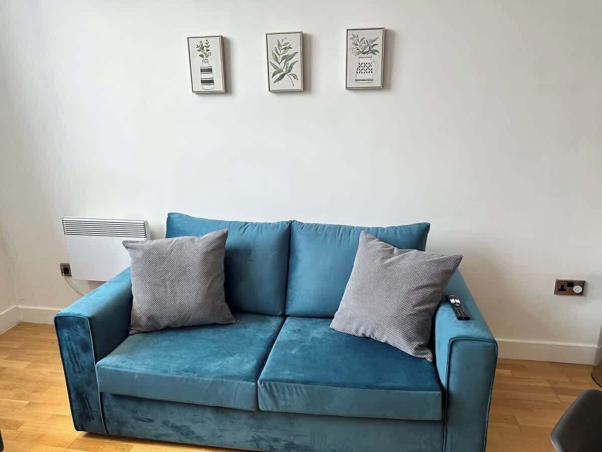 Um sofá azul com duas almofadas cinzas, uma parede branca com três impressões botânicas emolduradas, e um radiador branco.