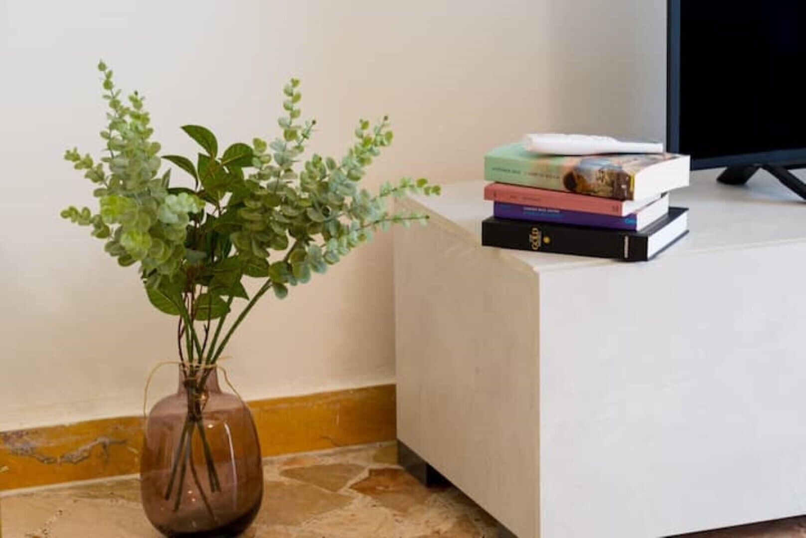 Un coin de pièce avec une plante dans un vase, une pile de livres et un téléviseur.