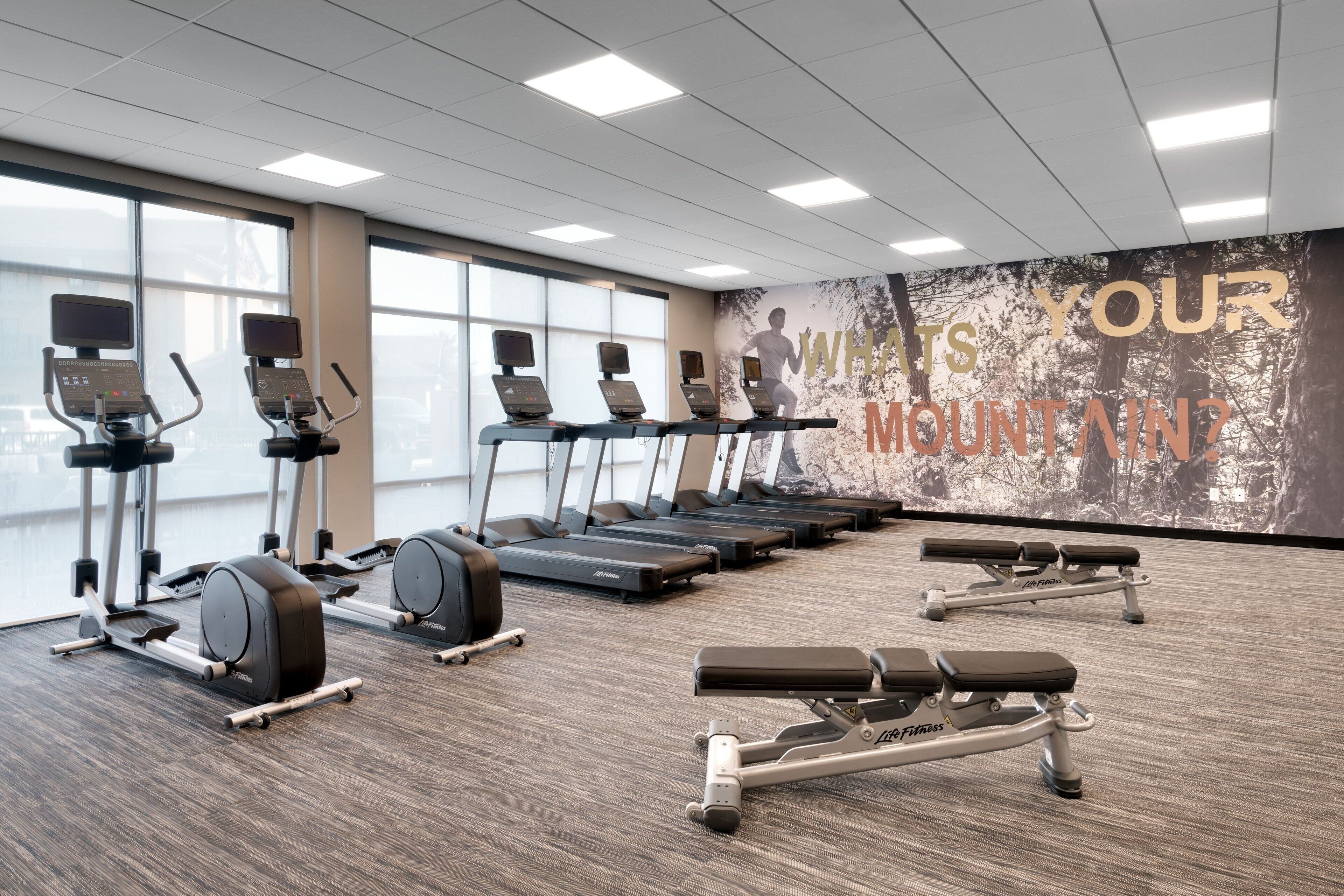 A gym with treadmills, ellipticals, and weight benches.