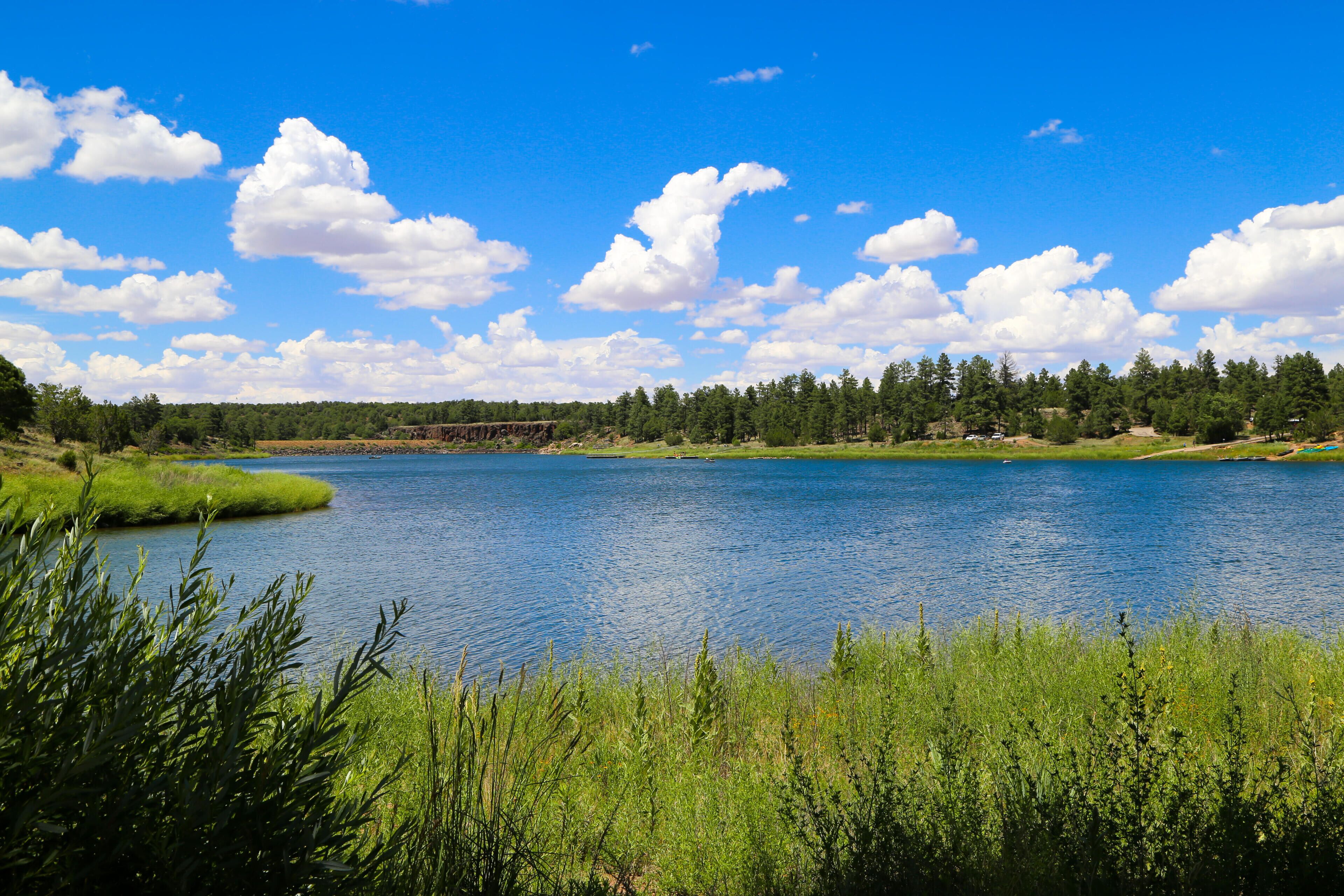 A serene lake surrounded by lush greenery and a forested area.
