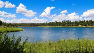 A serene lake surrounded by lush greenery and a forested area.