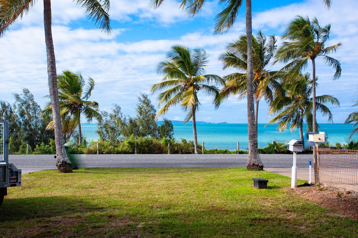 A grassy area with palm trees and a view of the ocean.