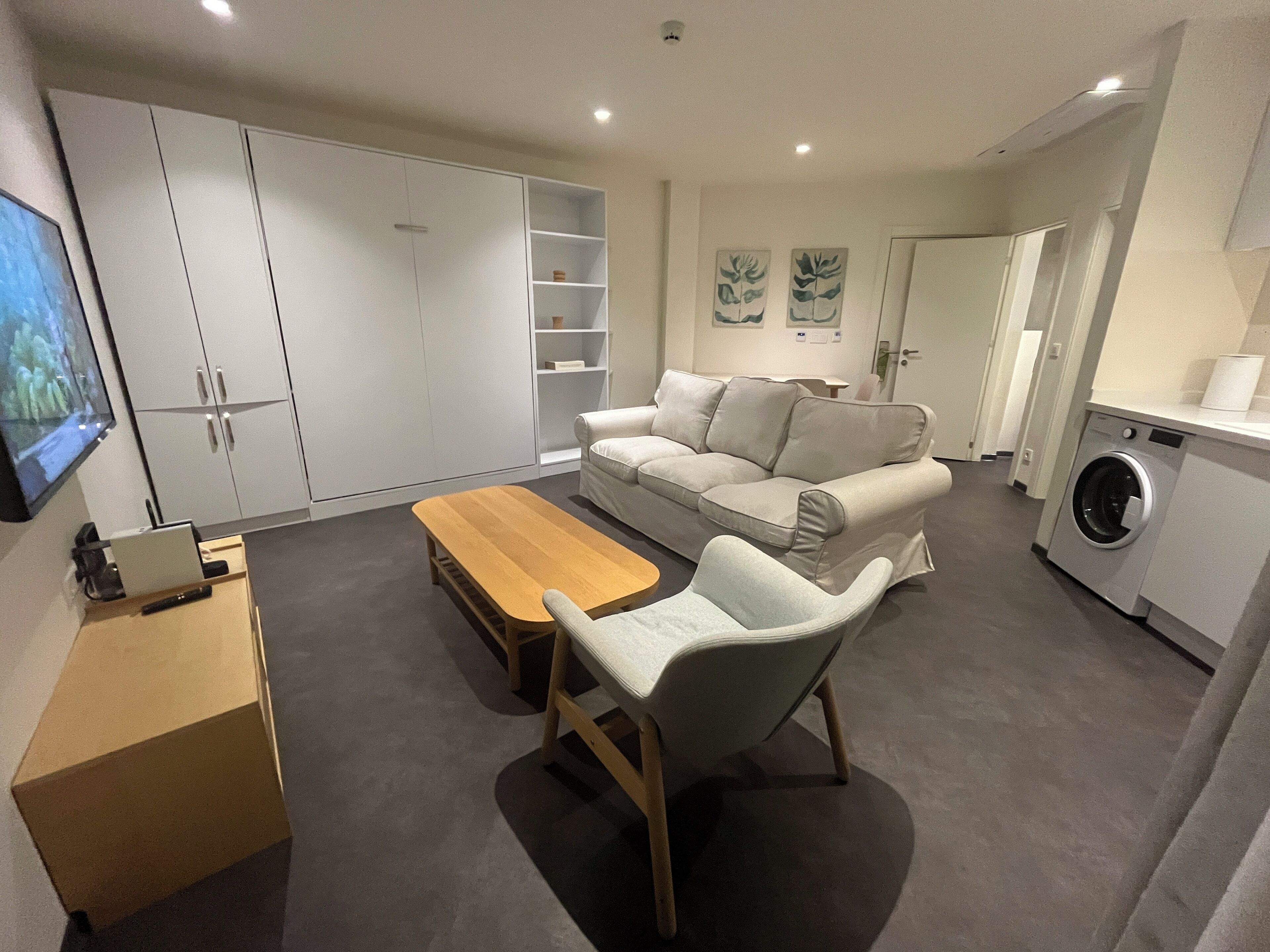 A modern living room with a sofa, a wooden coffee table, a TV, and a washing machine.