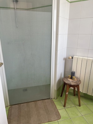Dusche, Haartrockner, Handtücher, Shampoo