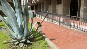 Un edificio con un camino de ladrillo, una cerca metálica y grandes plantas de agave.