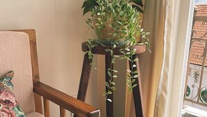 컴포트룸