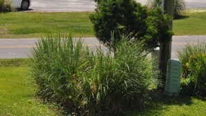 A parking lot with several cars, a building with balconies, and a view of the ocean. - Finisterre – Your Topsail Island Escape (North Topsail Beach)