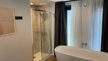 基本客房 (Seerose 2) | 浴室 | 淋浴設備