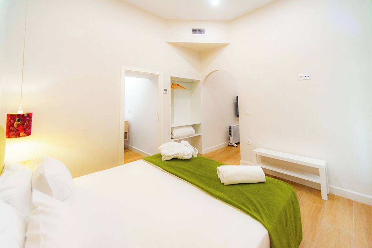 A hotel room with a bed, a green area rug, a bench, a TV, and a walk-in closet.