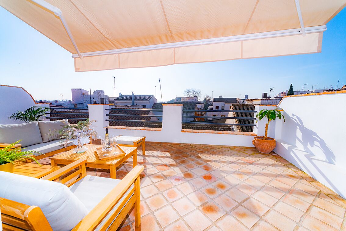 A rooftop terrace with a wooden table and chairs, a sofa, and potted plants.