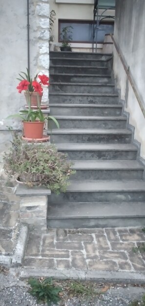 Property grounds - Poggio delle favole farm holidays (Cagli)